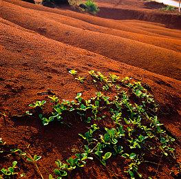 《群星》大型扩展包“机械时代”公布 第二季度发售